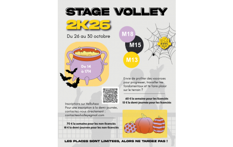 STAGE DE VOLLEY – VACANCES DE LA TOUSSAINT